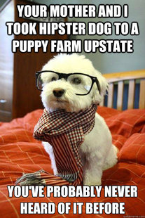 Hipster Dog