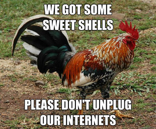 Red Team Rooster