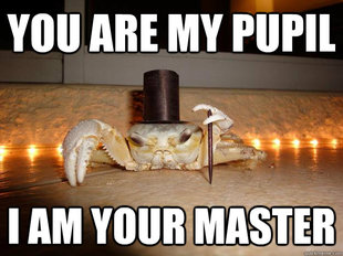 Fancy Crab