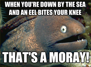 Caught in the act Moray