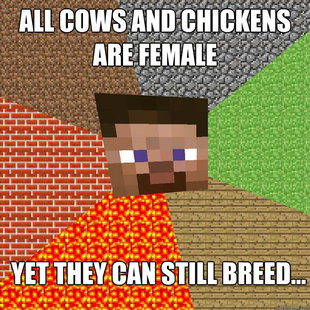 Minecraft