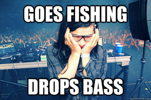 Skrillexguiz