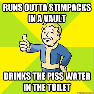 Fallout new vegas