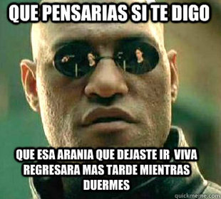 Matrix Morpheus