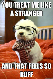 Hipster Dog