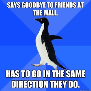 Socially Awkward Penguin