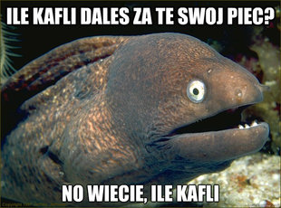 Bad Joke Eel