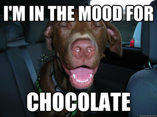 10 Dog