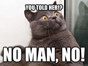 conspiracy cat