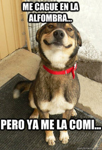 Good Dog Greg