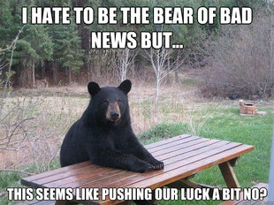Bear of Bad News