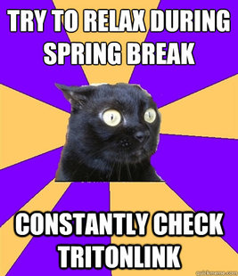 Anxiety Cat