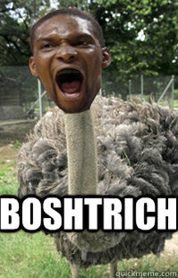 Ostrich Meme