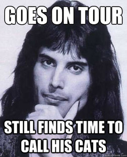 Good Guy Freddie Mercury