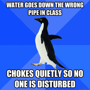 Socially Awkward Penguin