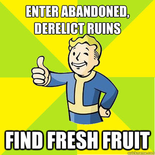Fallout new vegas