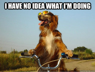 dogbike