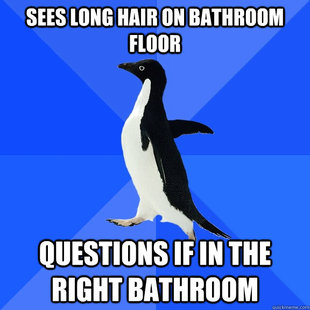 Socially Awkward Penguin