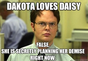 Schrute