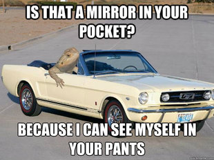 Pickup Dragon
