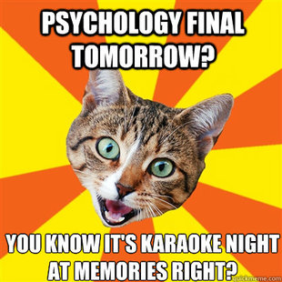 Bad Advice Cat