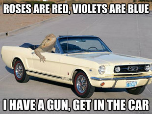 Pickup Dragon