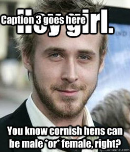 Ryan gosling