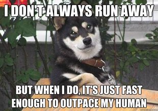 Most Interesting Dog in the World
