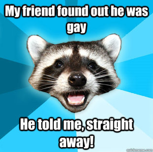 Lame Pun Coon