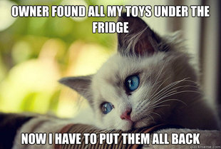 First World Cat Problems