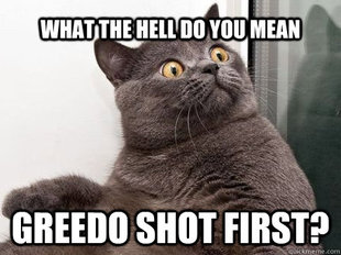 conspiracy cat