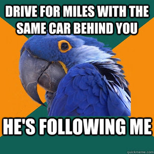 Paranoid Parrot