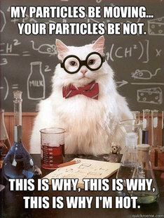 Chemistry Cat