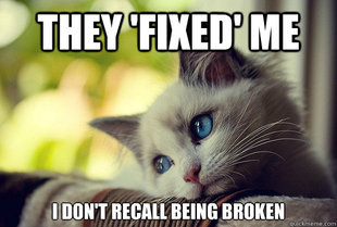 First World Cat Problems