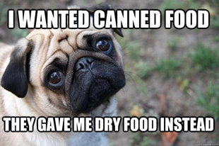 First World Dog Problems