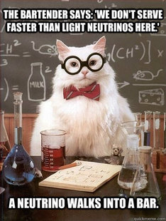 Chemistry Cat