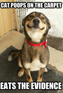 Good Dog Greg