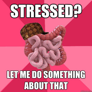 Scumbag Intestines