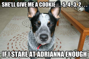 Unimpressed Roger