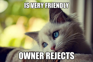 First World Cat Problems