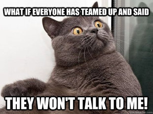 conspiracy cat