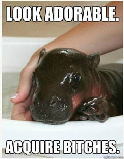 Bragging Hippo