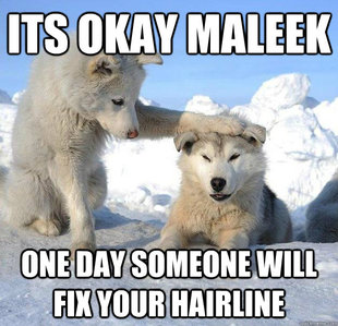 Caring Husky