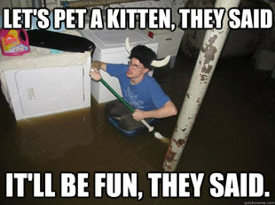 Do the laundry they said