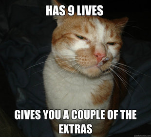 Cool Cat Craig