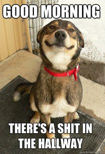Good Dog Greg