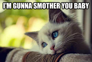 First World Cat Problems