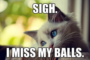 First World Cat Problems