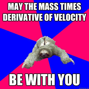 Math Major Sloth