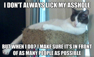 The Most Interesting Cat in the World